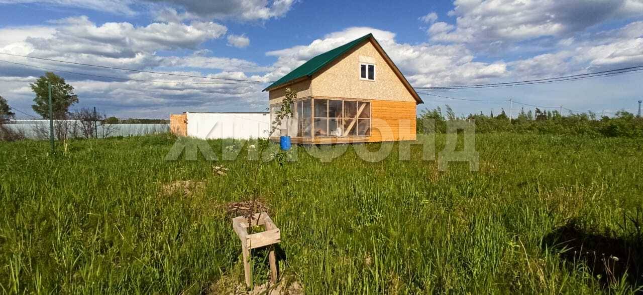 Купить Дачу В Криводановке Новосибирской Области Недорого